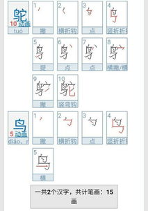 鸟的笔顺笔画顺序