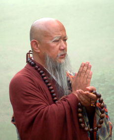 在天龙八部中,身为高僧的玄慈,为何他会有后代?