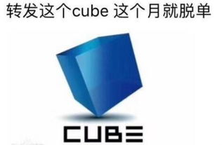 cube的意思