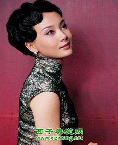 陈数个人资料简介及老公，周迅个人资料