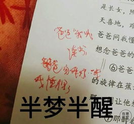 个人心得体会开头怎么写，幼儿教师培训心得体会开头怎么写