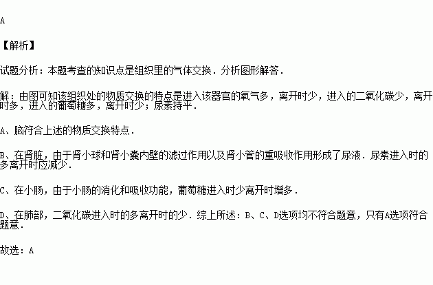 含人体器官的四字词语有哪些
