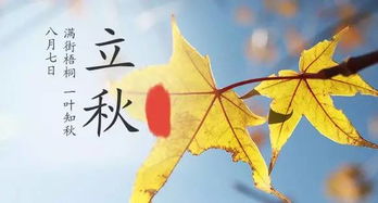 立秋是什么意思含义理解，小心立秋是什么意思