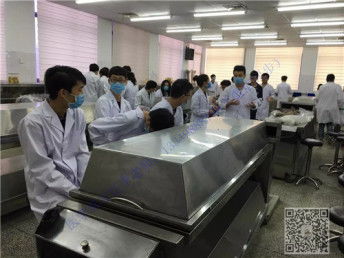 湖北省技能高考分数线是多少?