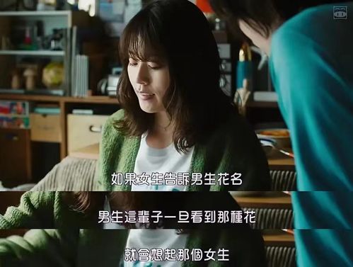 你是我的情人,像玫瑰花一样的女人，你是我的情人是什么歌
