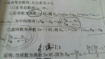 什么是项数