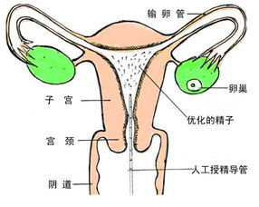 授时历，授权委托书