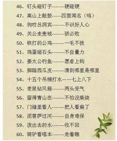 有趣歇后语