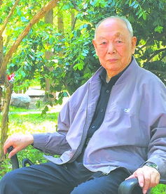 傅熹年书画鉴定集，傅熹年建筑史论文集