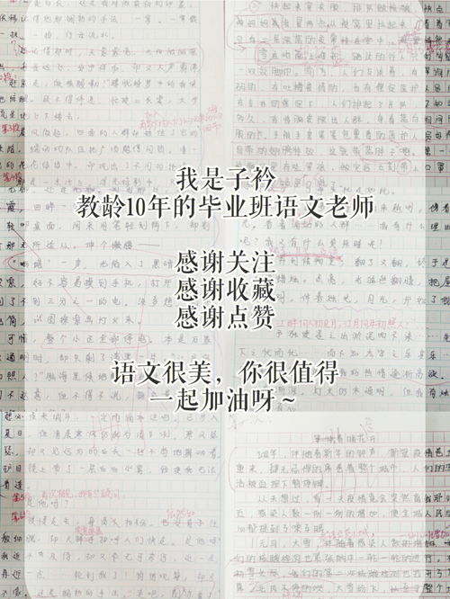 “言”的结构是什么?