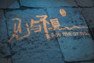 见与不见译文，见与不见全文解释