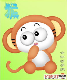 属猴的今年多少岁了属猴的今年多大