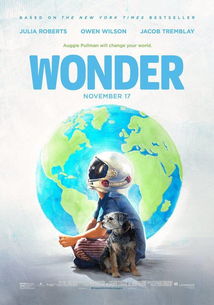 《奇迹男孩》的观后感