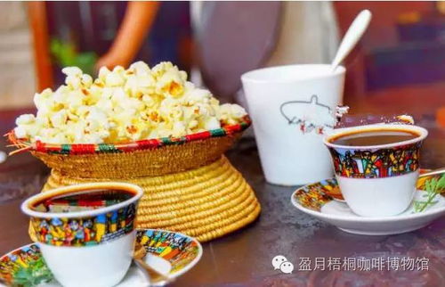 品尝年少风华，品尝的拼音