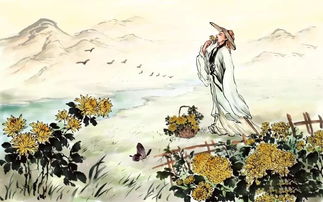 杨万里 简介