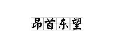引导的近义词