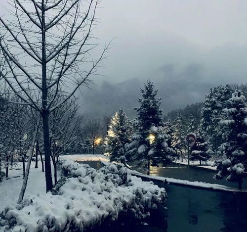 关于雪的五字诗句(关于雪的五字诗)
