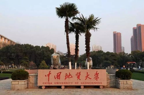 中国地质大学校友会排名
