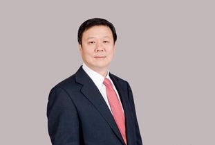 小学教师有正高级别吗?