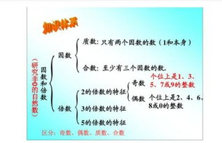 倍数、因数、奇数、偶数、质数、合数的 概念是什么?