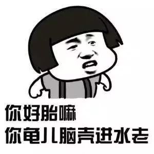 想当然而是什么意思，古文中的然而是什么意思