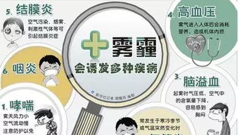 雾霾主要是什么成分