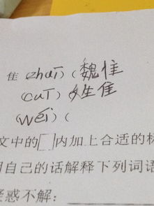 焦组词是什么，佳组词