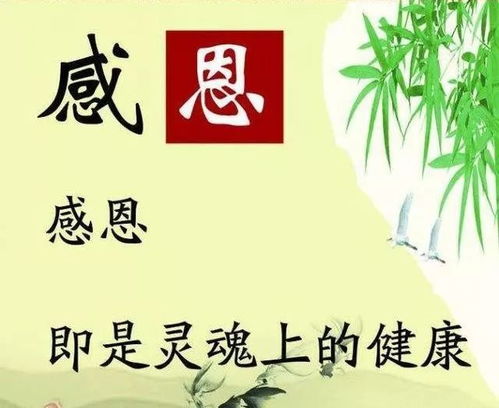 非亲非故的人对你很好，非亲非故造句