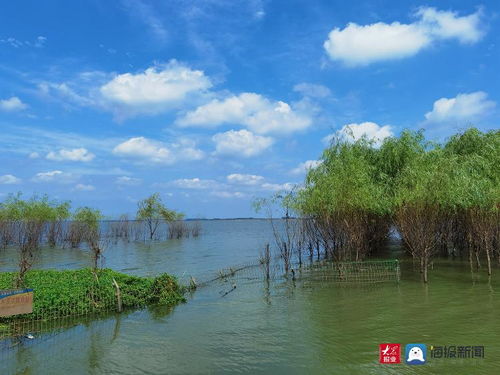 瓦埠湖面积多少平方公里，瓦埠湖面积