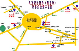重庆沙区自考信息网，重庆市自考办地址