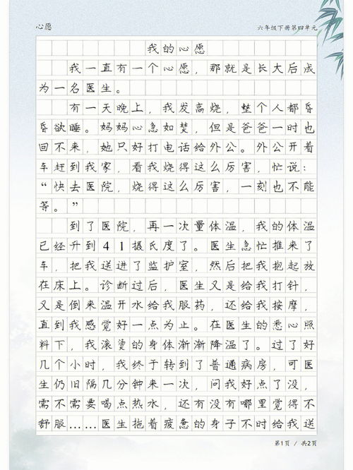 作文我的愿望300字，一年级作文我的愿望