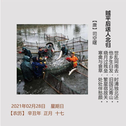 贼平后送人北归司空曙翻译，贼平后送人北归拼音版古诗
