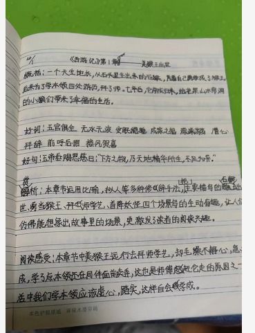 语文摘抄优美句子，语文摘抄300字优美段落