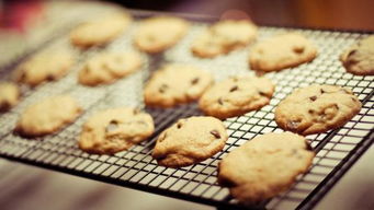 cookies是啥意思的?
