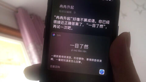 ran成语四个字开头，髯成语