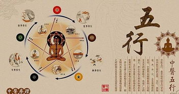 柯字五行属什么名字，珂字五行属什么