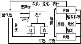 与森林海洋并称三大生态系统，什么与森林海洋并称为全球三大生态系统