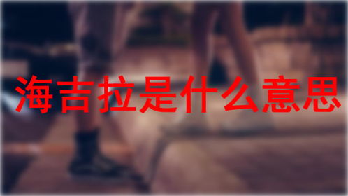 Hijra是什么意思 《西语助手》西汉