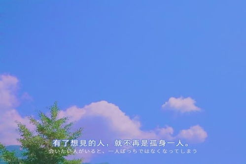云边有个小卖部经典语录