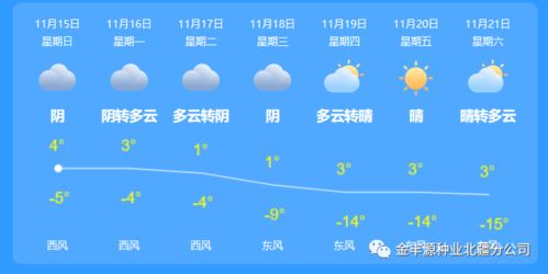 塔城天气预报查询一周15天，乌鲁木齐天气预报