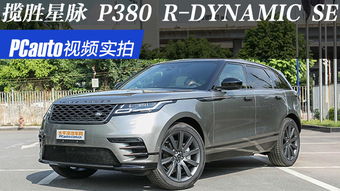dynamic是什么意思，dynamiccow下载
