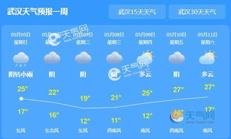 武汉天气预报一周 15天，武汉天气预报一周天气15天