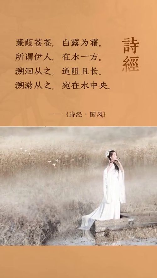 所谓伊人在水一方全诗注音版朗诵，所谓伊人在水一方全诗意思拼音