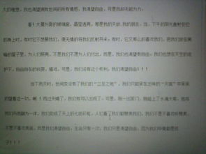 我心中的那道阳光作文600字初中，我们的生活充满阳光作文600字初中