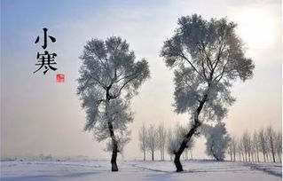 气节是什么意思解释