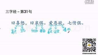 七情指的是什么
