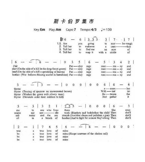 斯卡布罗集市歌谱歌词，斯卡布罗集市歌谱教程