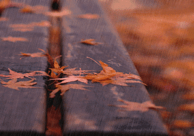 秋雨叹杜甫，秋雨叹三首其二翻译