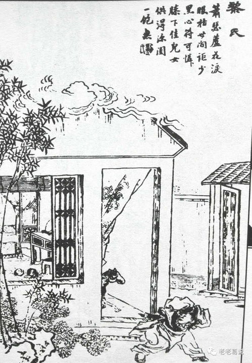 继室她娇软动人 三只鳄梨，继室她娇软动人