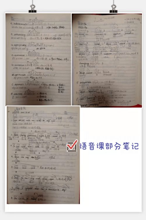 Teacher是什么意思英语